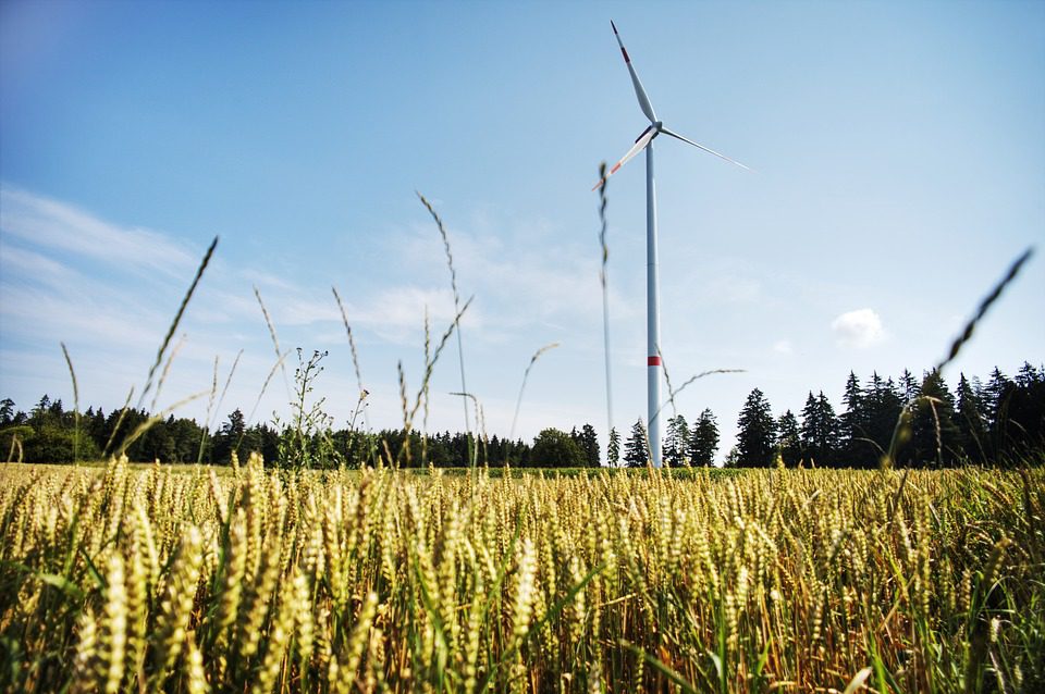 A wind turbine in a field on a sunny day
