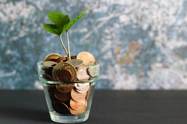 A plant growing in a pot of coins