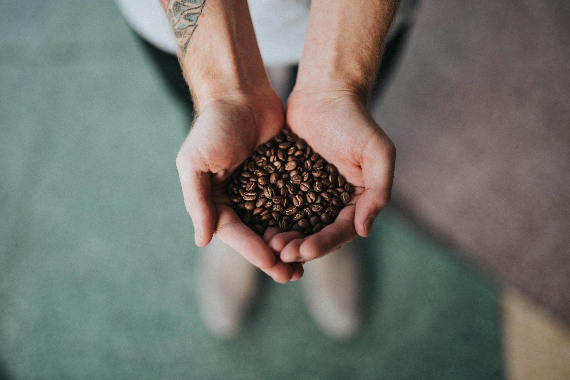 Someone holding coffee beans in their hands