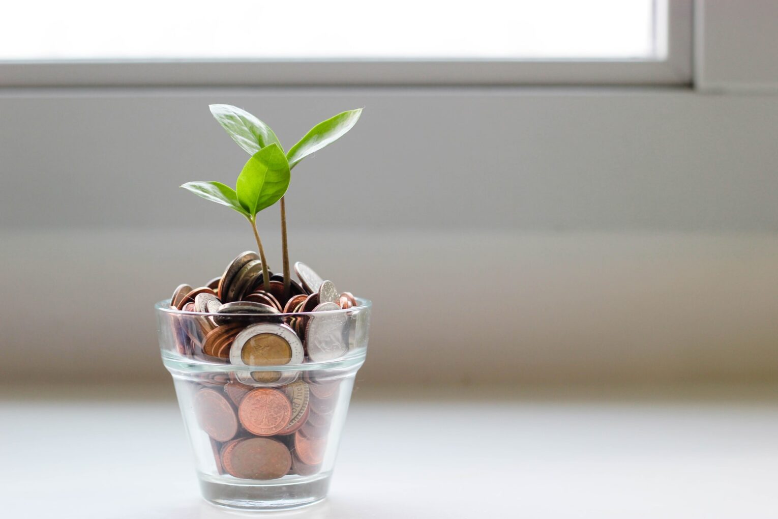 xA plant growing out of coins