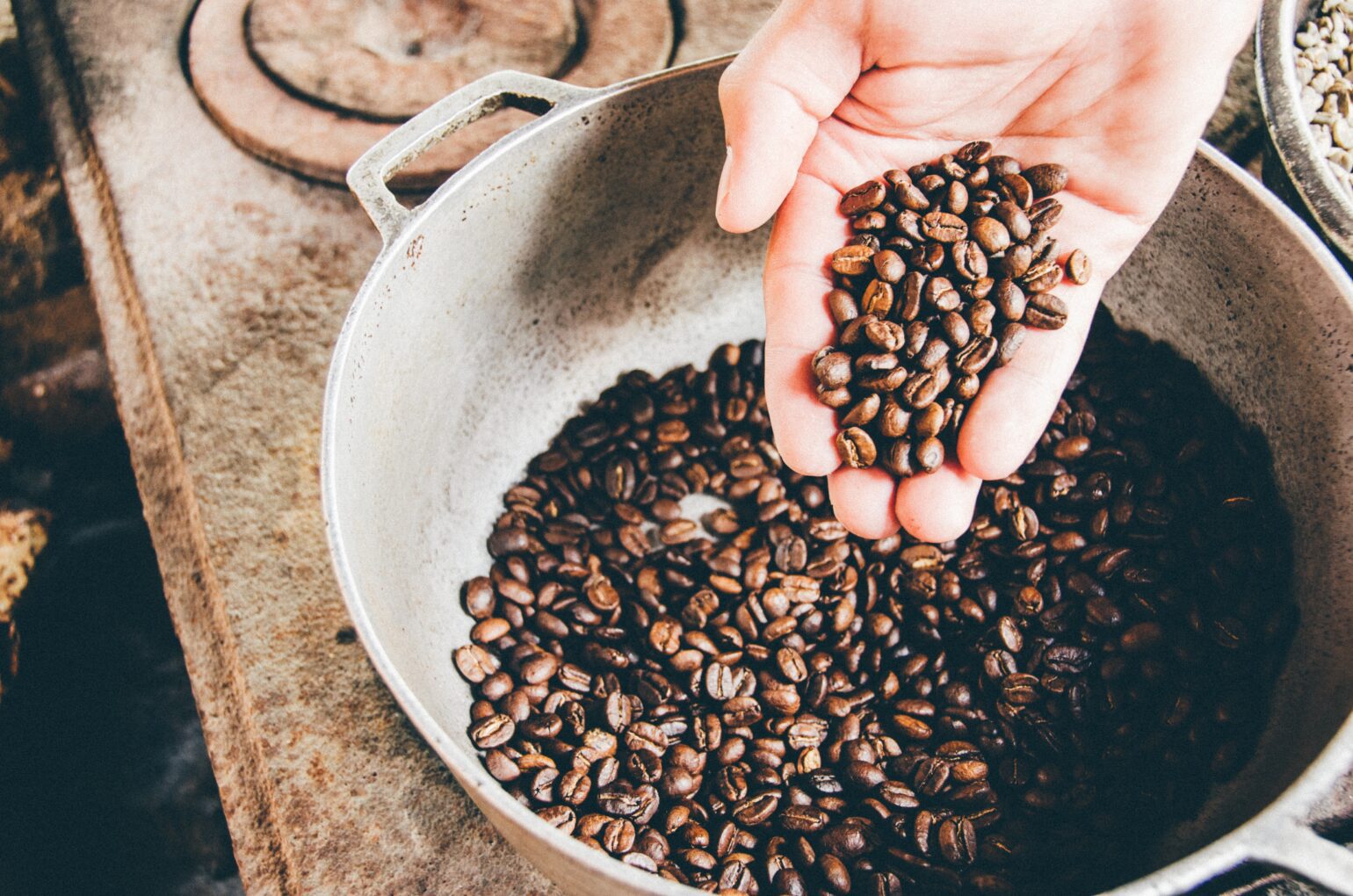 Someone holding coffee beans in a bucket