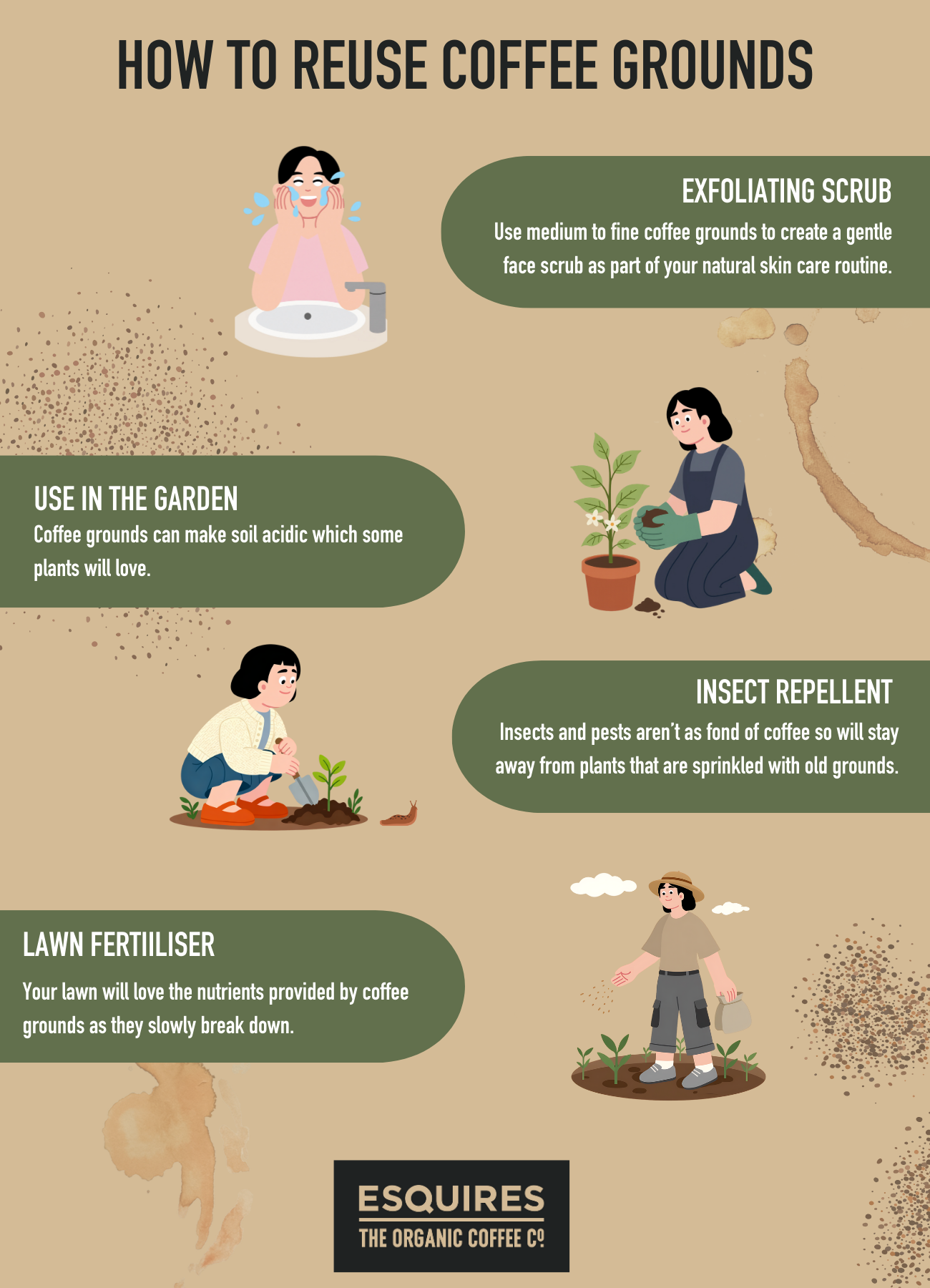 How to reuse coffee grounds