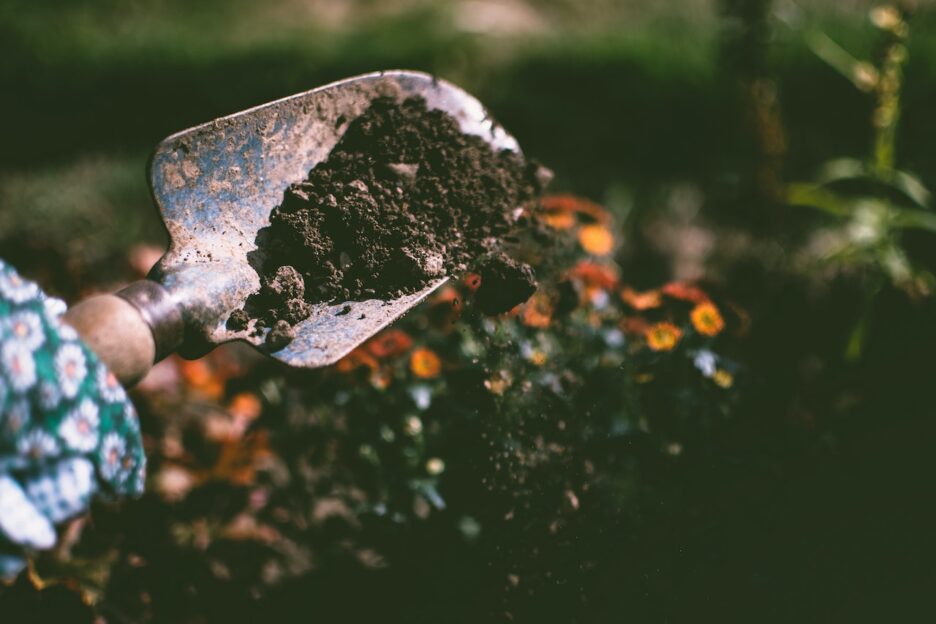 Garden soil on a shovel