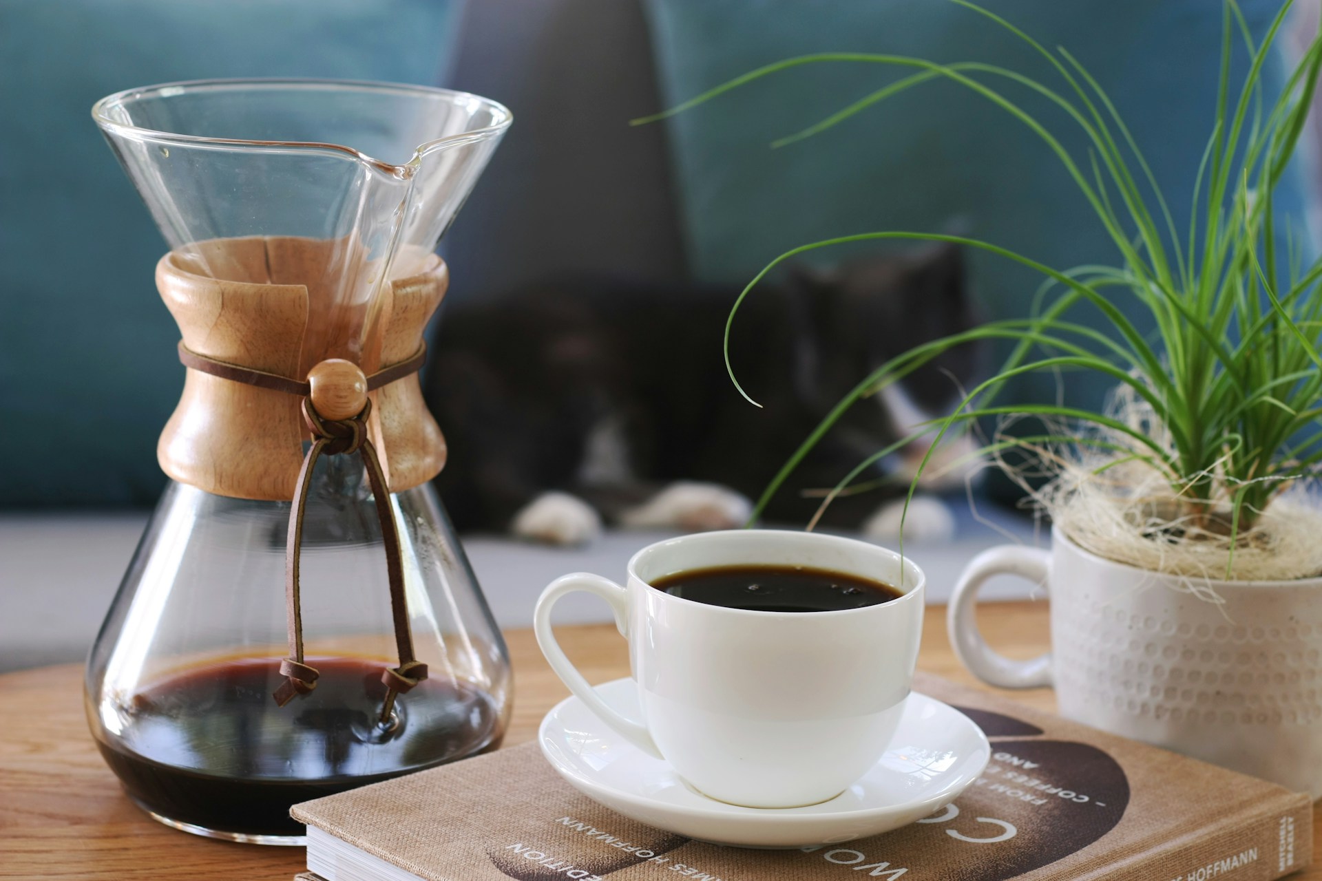 Coffee and drip glass 