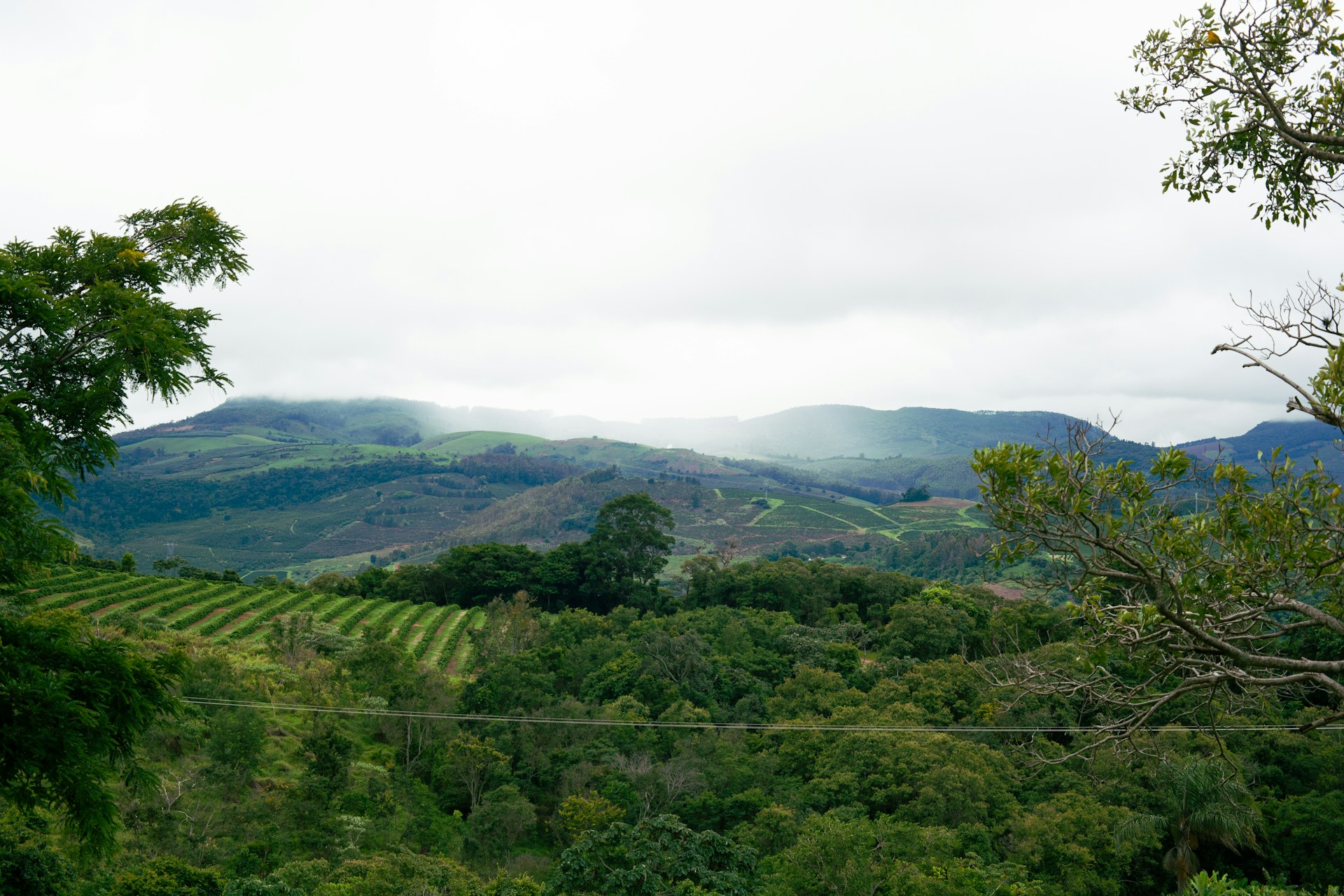 High altitude region for coffee growing