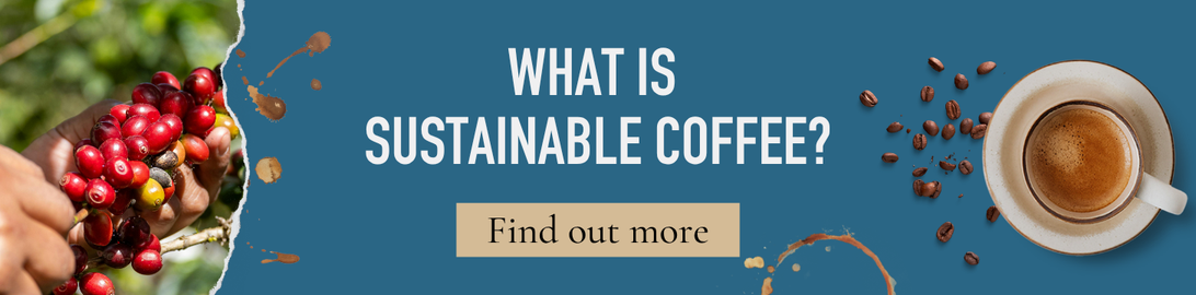 what is sustainable coffee