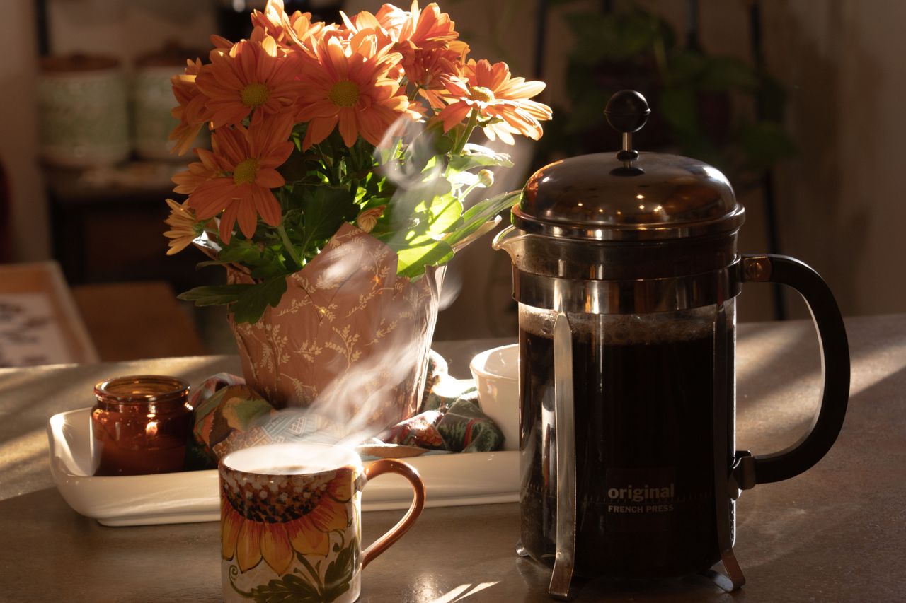 French press with brewed coffee and cup